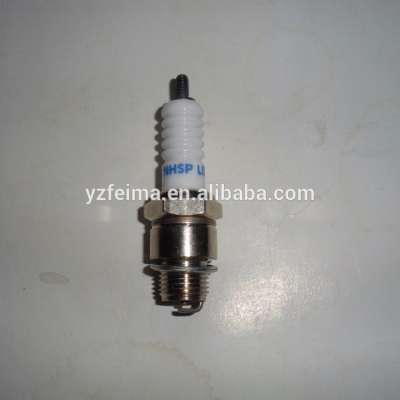 Spark plug